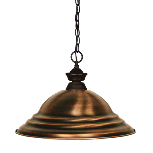 Z-Lite Shark Bronze Pendant by Z-Lite 100701BRZ-SAC