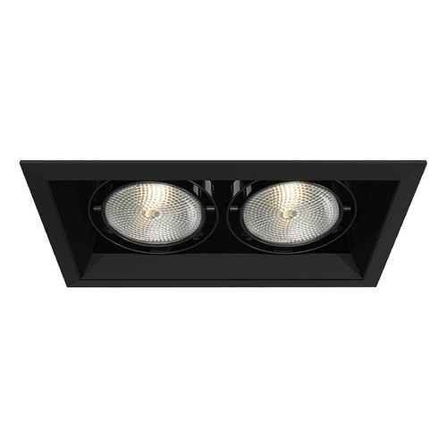 Eurofase Lighting Black & Black Recessed Kit by Eurofase Lighting TE132-01