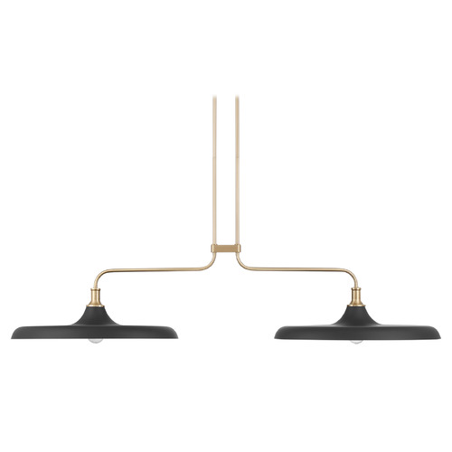 Hunter Fan Company Hunter Fan Company Moriso Modern Brass & Matte Black Barn Light with Warehouse Shade 48150