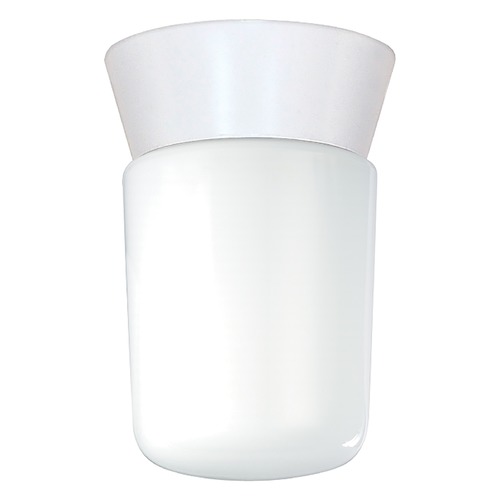 White Flush Mount by Nuvo Lighting