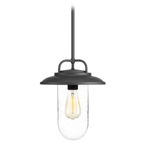 Beaufort Outdoor Hanging Light in Black by Progress Lighting
