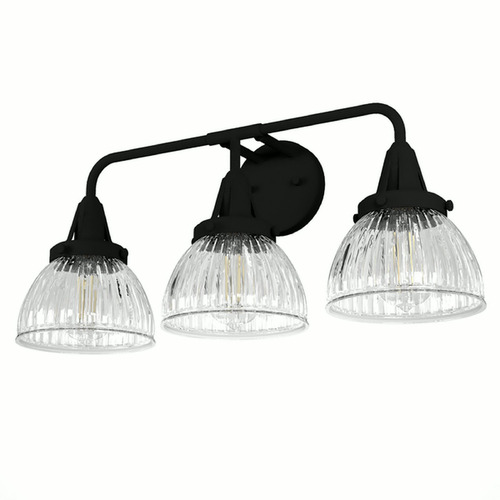 Hunter Fan Company Cypress Grove Natural Black Iron Bathroom Light