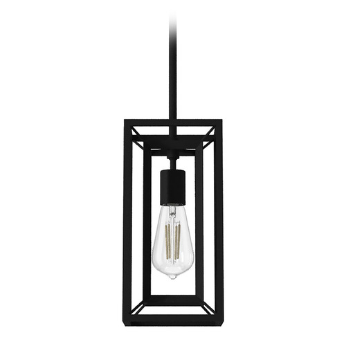 Hunter Fan Company Hunter Fan Company Doherty Natural Black Iron Mini-Pendant Light 19755
