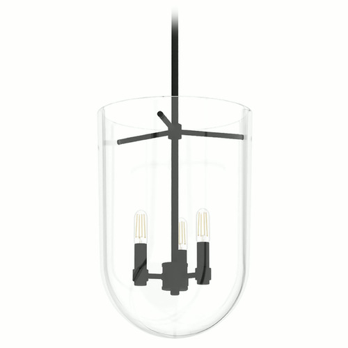 Hunter Fan Company Sacha Natural Black Iron Pendant Light with Bowl / Dome Shade