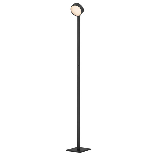 ET2 Lighting Et2 Embrace Black LED Floor Lamp with Drum Shade E30529-BK