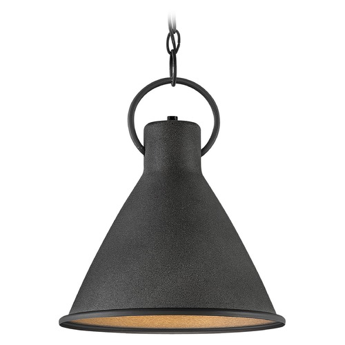 Hinkley Hinkley Winnie Aged Zinc / Distressed Black Pendant Light with Conical Shade 3557DZ