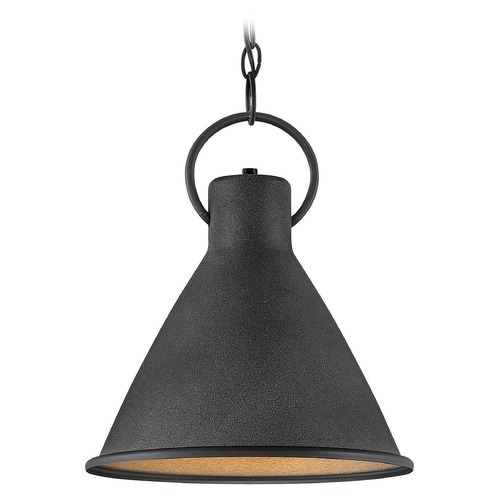 Winnie  12.25-Inch Pendant in Aged Zinc & Distressed Black by Hinkley Lighting