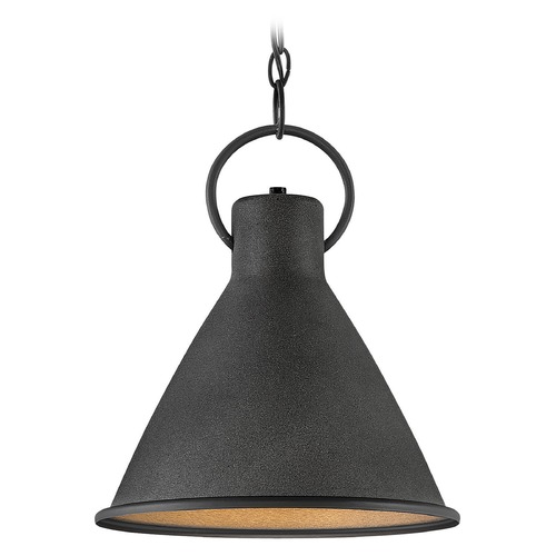 Hinkley Winnie  12.25-Inch Pendant in Aged Zinc & Distressed Black by Hinkley Lighting 3557DZ