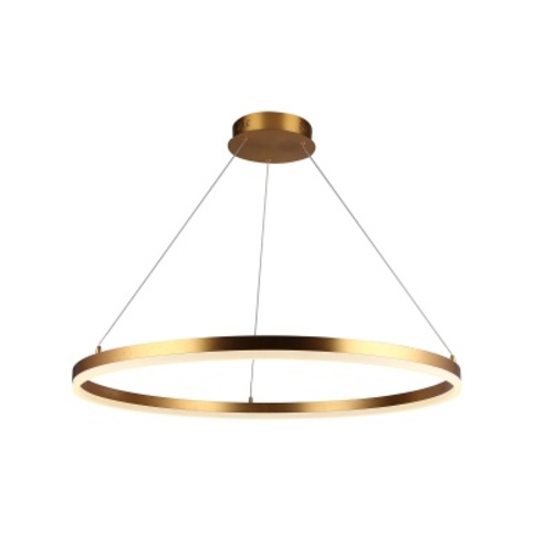 Avenue Lighting Circa LED 31-Inch Chandelier in Brushed Gold by Avenue Lighting HF5028-GL