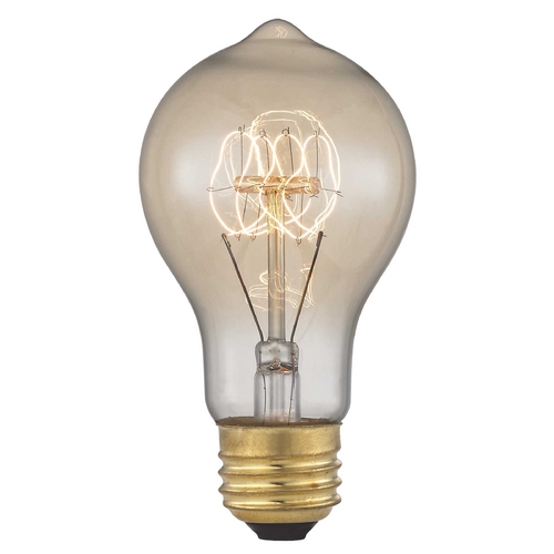 Design Classics Lighting Vintage Edison Carbon Filament Light Bulb - 60-Watts 2400K 60AF19 FILAMENT