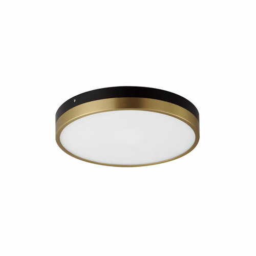 Maxim Lighting Dapper 12-Inch LED Flush Mount in Black & Brass by Maxim Lighting 59702WTBKAB