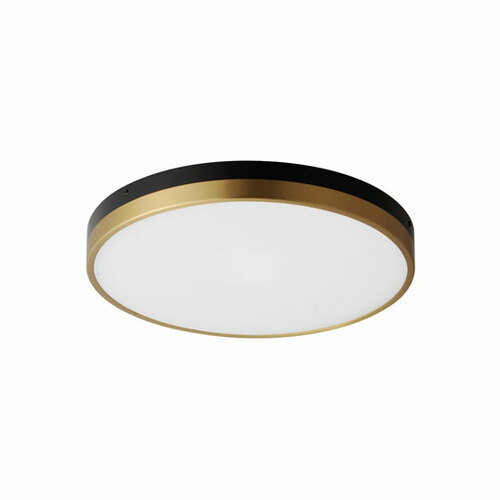 Maxim Lighting Dapper 16-Inch LED Flush Mount in Black & Brass by Maxim Lighting 59704WTBKAB