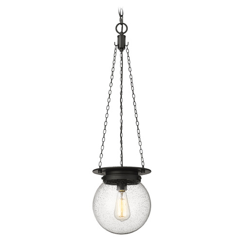 Z-Lite Calhoun Matte Black Mini-Pendant Light with Globe Shade