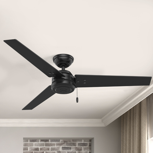 Cassius 52-Inch Outdoor Fan in Matte Black by Hunter Fan Company