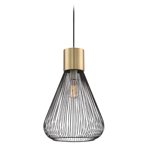 Lite Source Lighting Freira Black and Antique Brass Pendant by Lite Source Lighting LS-19093