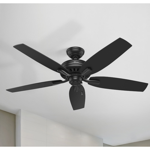 Newsome Black Ceiling Fan by Hunter Fan Company