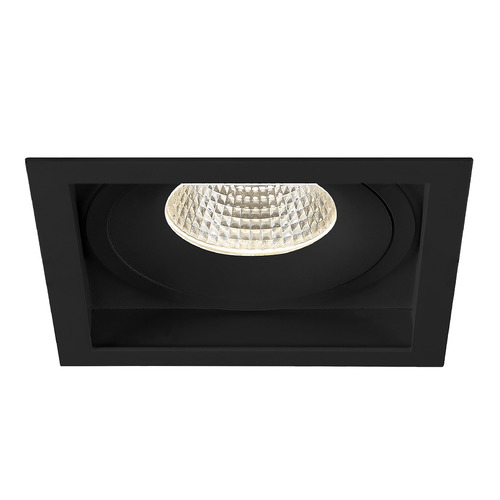 Amigo Black LED Retrofit Module by Eurofase Lighting