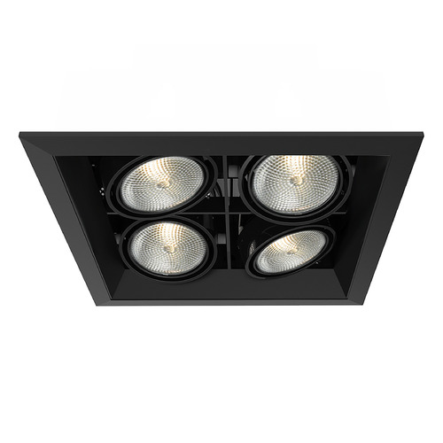 Eurofase Lighting Black & Black Recessed Kit by Eurofase Lighting TE164B-01