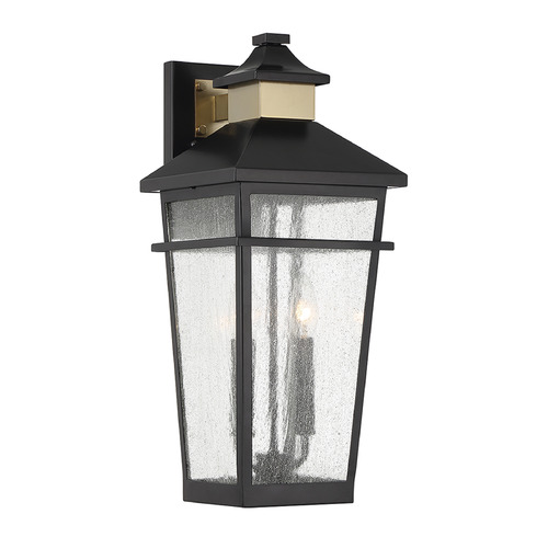 Kingsley 20.25-Inch Outdoor Wall Light in Black by Savoy House