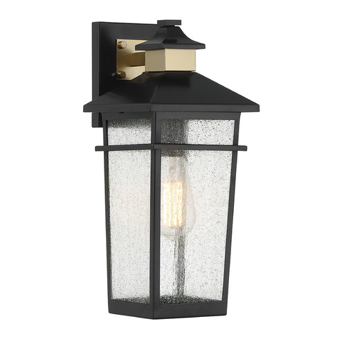 Kingsley 16.25-Inch Outdoor Wall Light in Black by Savoy House