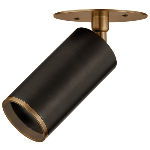 Troy Lighting Caleb Patina Brass & Bronze LED Directional Spot Light