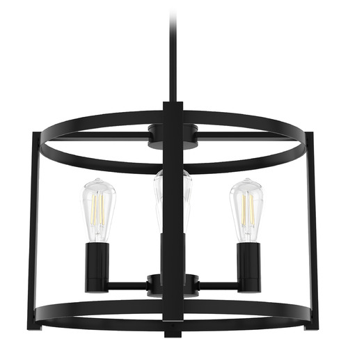 Hunter Fan Company Astwood Matte Black Pendant Light