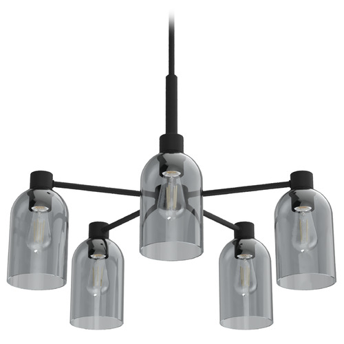 Hunter Fan Company Lochemeade Natural Black Iron Chandelier