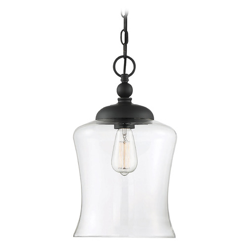 Meridian 9.75-Inch Pendant in Matte Black by Meridian M70019MBK