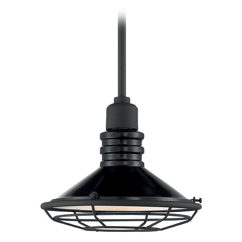 Blue Harbor Gloss Black & Silver Outdoor Hanging Light by Satco Lighting