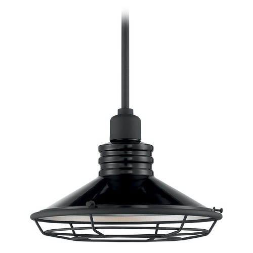 Blue Harbor Gloss Black & Silver Outdoor Hanging Light by Satco Lighting