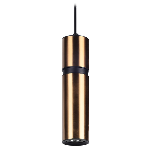 Avenue Lighting Cicada 10-Inch LED Pendant in Brass & Black by Avenue Lighting HF1076-BBK