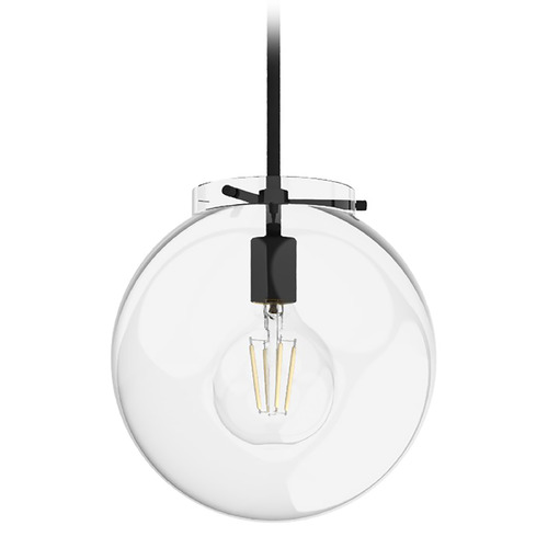 Hunter Fan Company Sacha Natural Black Iron Pendant Light with Globe Shade