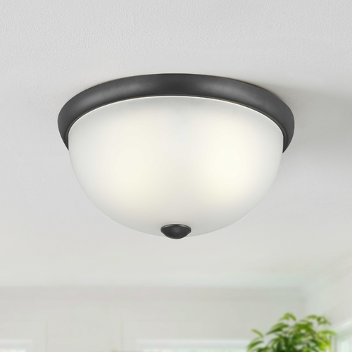 Progress Lighting Glass Domes Graphite 2-Light Flush Mount by Progress Lighting P350044-143