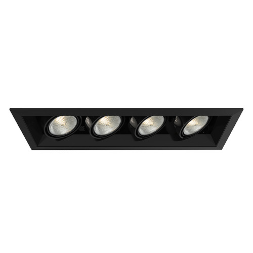 Eurofase Lighting Black & Black Recessed Kit by Eurofase Lighting TE164A-01