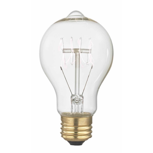 Design Classics Lighting Nostalgic Vintage Edison Carbon Filament Light Bulb - 40-Watts 2400K 40A19 FILAMENT
