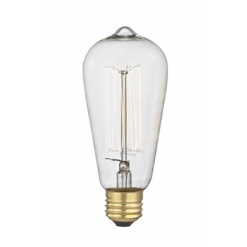 Design Classics Lighting Industrial Edison Squirrel Cage ST58 Light Bulb - 40-Watts 2400K 40ST58 FILAMENT
