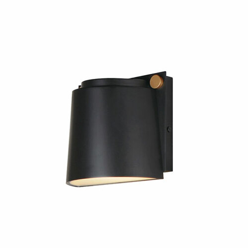 Rivet VX LED Outdoor Light in Black & Antique Brass by Maxim Lighting
