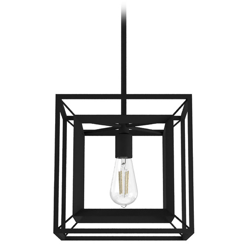 Hunter Fan Company Hunter Fan Company Doherty Natural Black Iron Pendant Light 19406