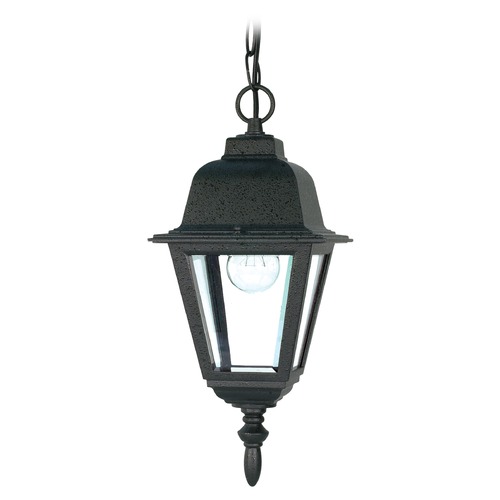 Briton Textured Black Outdoor Hanging Light by Nuvo Lighting