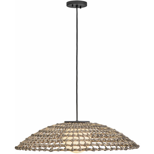 Arlen 30-Inch Outdoor Hanging Pendant in Black by Hinkley Lighting