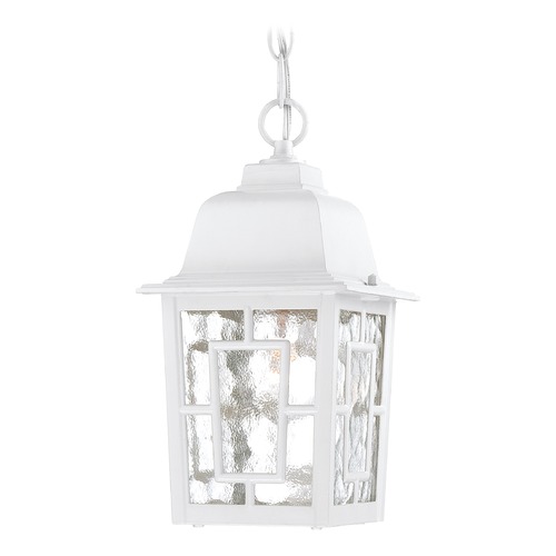 Outdoor Hanging Light with Clear Glass in White by Nuvo Lighting