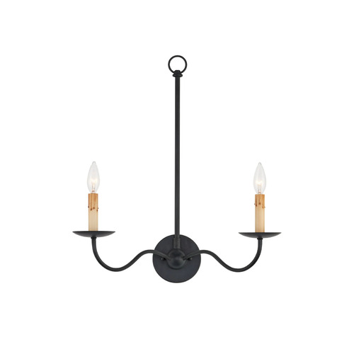 Saxon 2-Light Wall Sconce in Zanzibar Black by Currey & Company