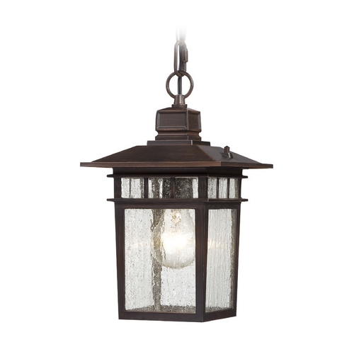 Seeded Glass Outdoor Hanging Light Bronze by Nuvo Lighting