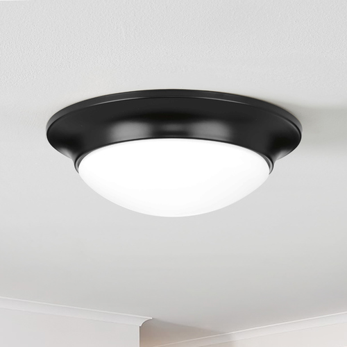 Etched Glass Flush Mount Black Flush Mount by Progress Lighting