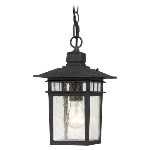 Seeded Glass Outdoor Hanging Light Black by Nuvo Lighting