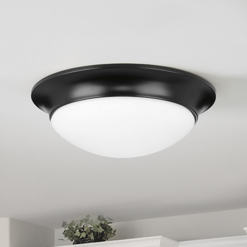 Progress Lighting Etched Glass Flush Mount Black 2-Light Flush Mount by Progress Lighting P350147-031