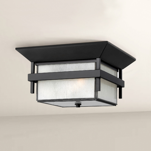 Hinkley Etched Seeded Glass Close To Ceiling Light Black Hinkley 2573SK