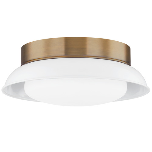 Troy Lighting Troy Lighting Arnie Patina Brass & White LED Flushmount Light C2014-PBR/GWH