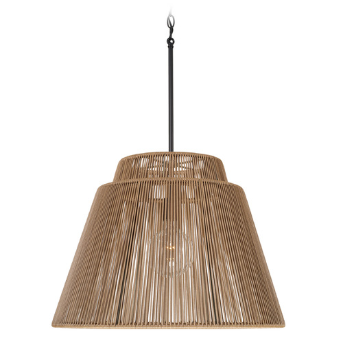 Jasper Indoor/Outdoor Hanging Light in Black by Capital Lighting