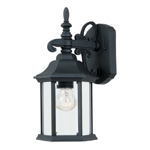 Outdoor Wall Light with Clear Glass in Black Finish
